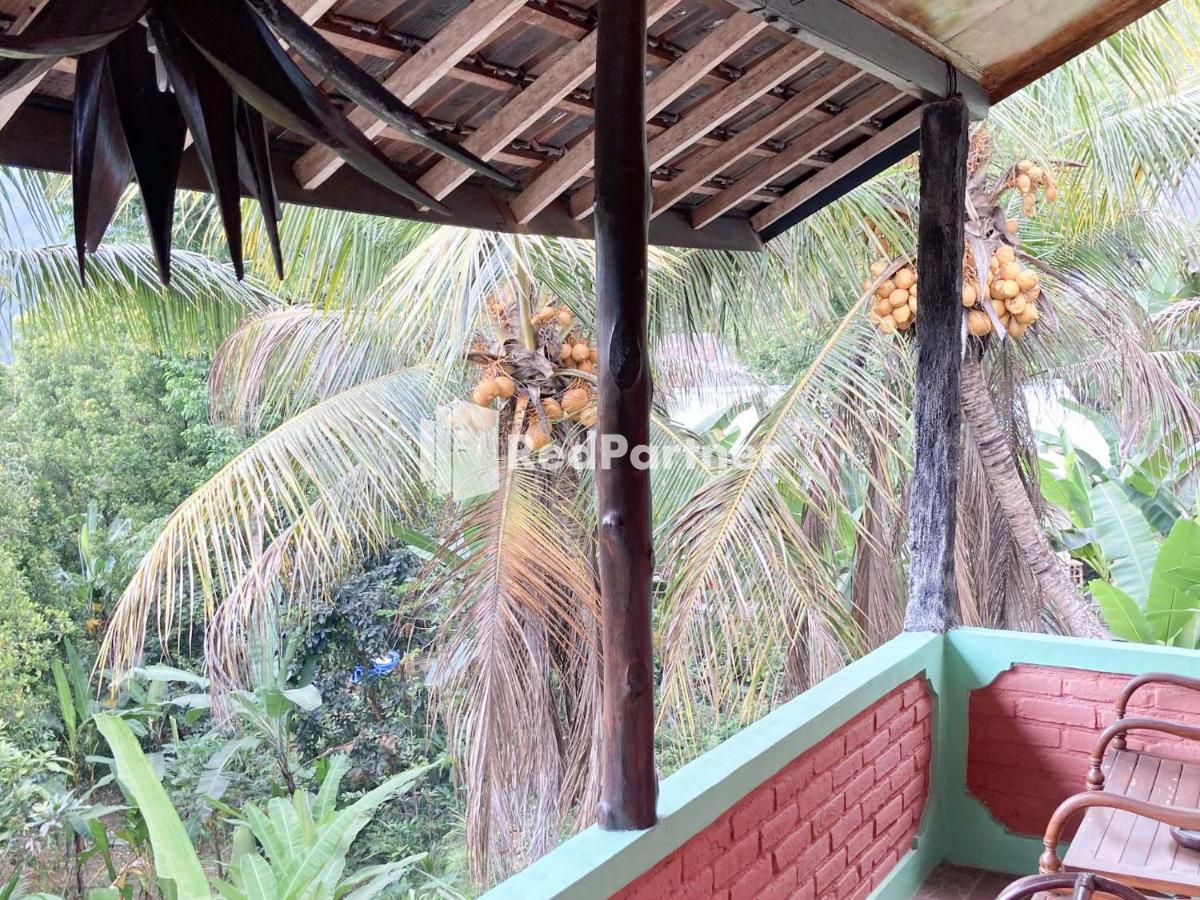 Taman Ayu Homestay Munduk Mitra Reddoorz Exteriér fotografie