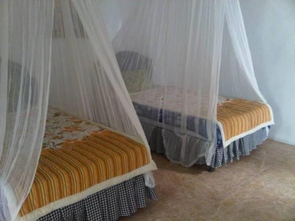 Taman Ayu Homestay Munduk Mitra Reddoorz Exteriér fotografie